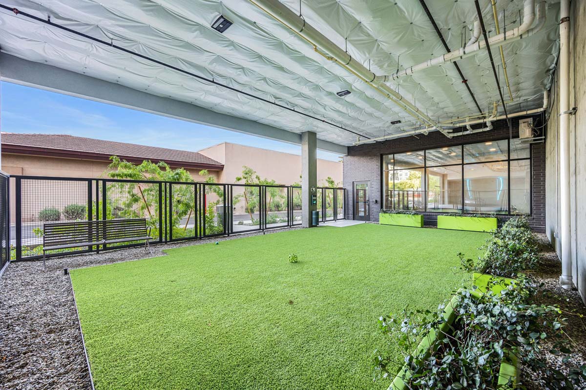 The dog park at Soltra Kierland apartments for rent in Scottsdale, AZ, featuring astroturf and benches.